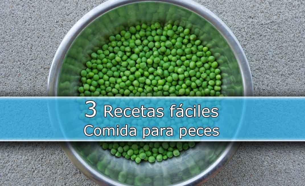 Alimentación de peces, recetas caseras.