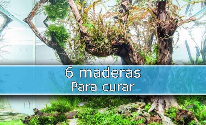 Driftwood 6 madera a elegir.