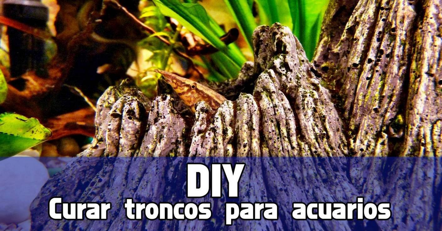 Curar troncos y raíces para el acuario