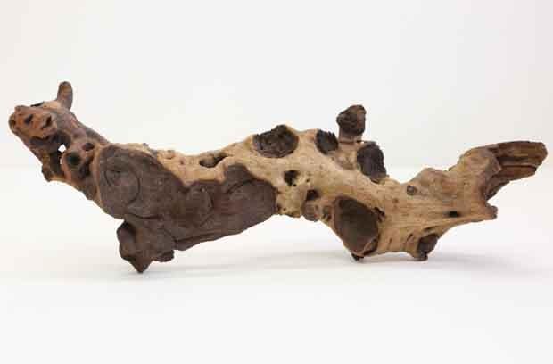 Madera Mopani