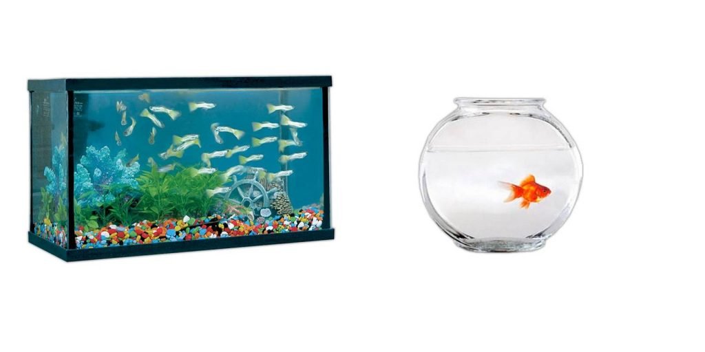 pecera y acuario